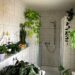 variety of bathroom plants helps absorb moisture